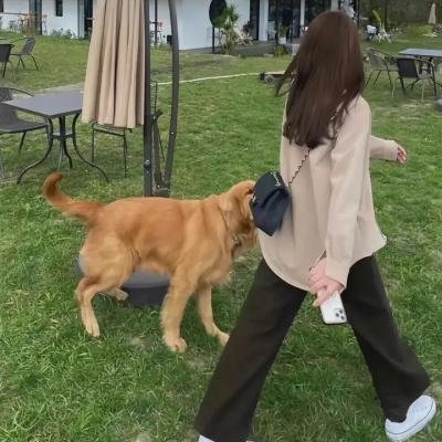 阴牙人